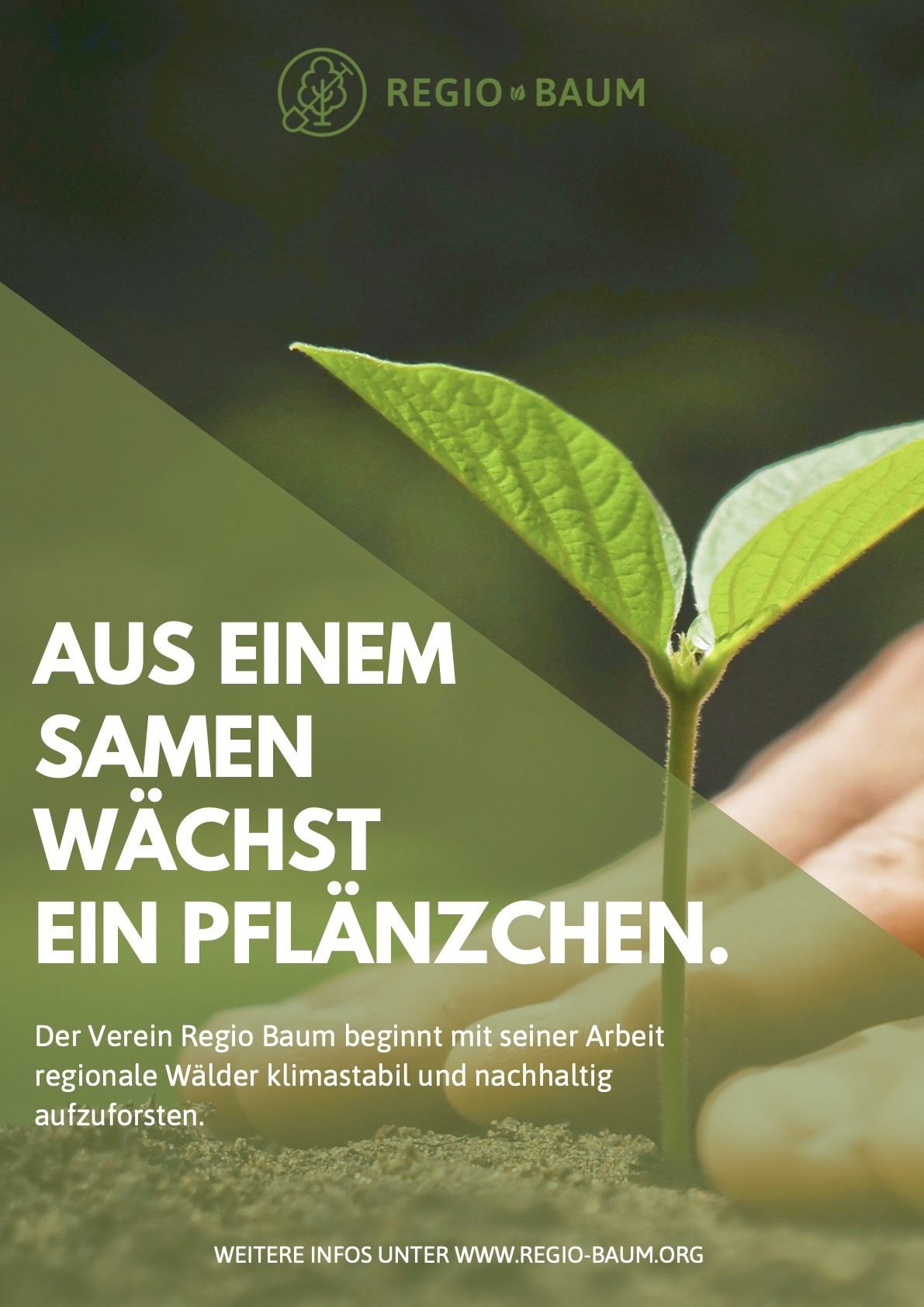 Flyer1_Vereinsstart